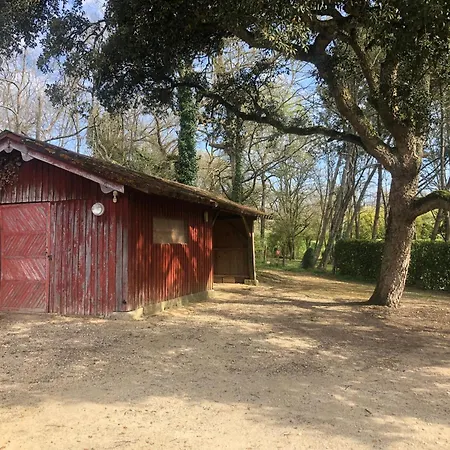 Maison A Louer Casteljaloux
